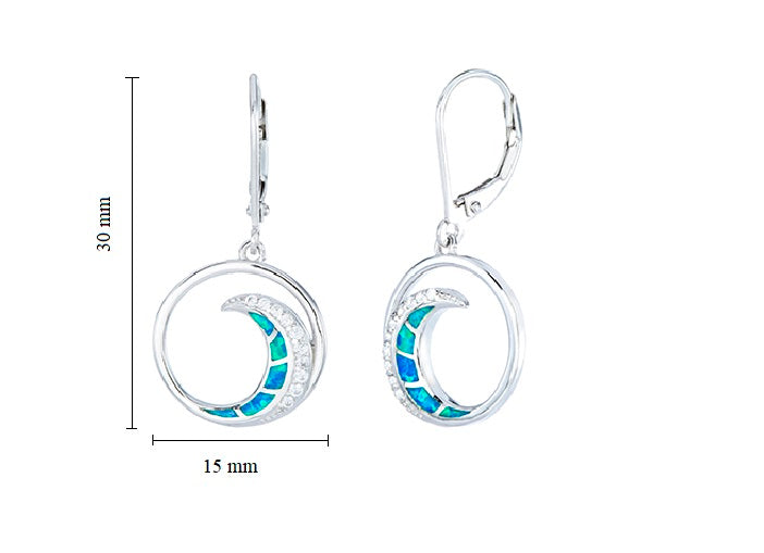 Ocean Wave Leverback Earrings