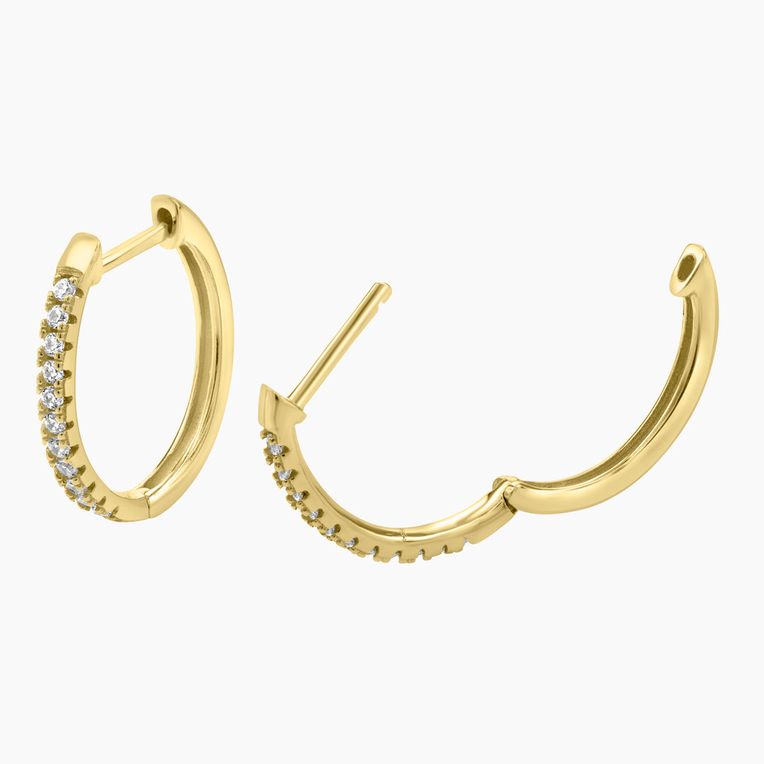 Oval Hoop Earrings